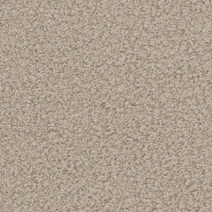NOW OR NEVER 3/3 WARM GREY  + 30.00€ 